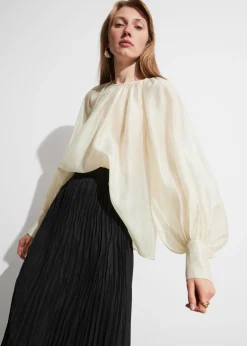 Discount & Other Stories Sheer Blouse